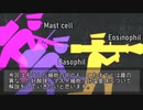 【ゆっくり解説】マスト細胞・好酸球・好塩基球