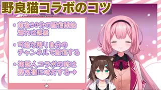 周央サンゴに届いた野良猫対策マロが有識者のそれ