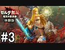 【実況】ゼルダ無双 厄災の黙示録 #3(終) 体験版をプレイ