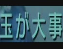 【トワプリ】ＨＤな尻に敷かれて厄動するケモノ【字幕プレイ動画その４９】