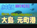 ＜大島釣旅記＞水中動画（2020年10月22日）in 大島：元町港