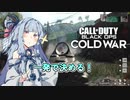 CODやるぞー！3【ぺリントン703】