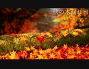 秋の木漏れ日　【オリジナル曲】
