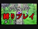 【アルカリ性】もう一度洞窟を振り返ろう。26周目の縛りプレイ！【ドラクエ5シーズン1 Part36】