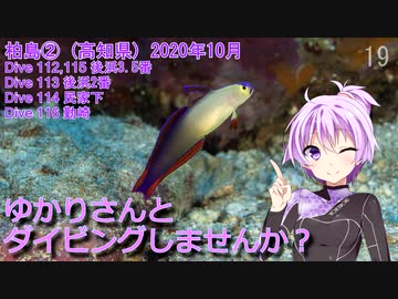 【柏島②（高知県）】ゆかりさんとダイビングしませんか？