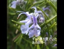【鏡音リン】「Blue Rosemary」（short ver）（作詞・作曲yuu）