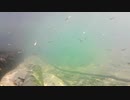【水中撮影】水中の風景02