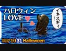 1031【カルガモの交尾】ヒドリガモのエクリプスと繁殖羽、オナガの鳴き声、カエルのミイラ、ナイトビジョンカメラ撮影【 #今日撮り野鳥動画まとめ 】 #身近な生き物語