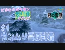 【実況】だまむのポケモン愛護のたび「冠の雪原」 ＃１