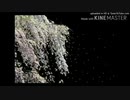 [オリジナル曲]夜長