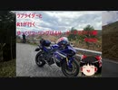 【ゆっくり車載】ラブライダーとYZF-R1と行くゆっくりツーリングびより　ビーナスライン編 Part2