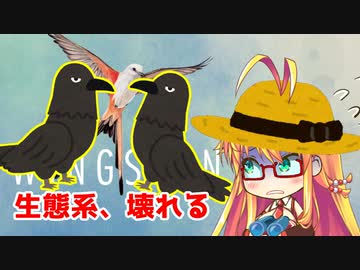 野鳥愛好家マキちゃん、生態系を創る part.3