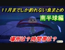 あつまれどうぶつの森　１１月までの魚まとめ！（南半球編）早めに釣っておきましょう！　【あつ森】
