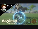 【実況】マスターモードでやりこみサバイバル生活！！　Part79 【ゼルダの伝説　BotW】