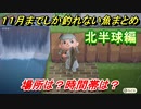 あつまれどうぶつの森　１１月までの魚まとめ！（北半球編）早めに釣っておきましょう！　【あつ森】