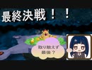 【スーパーマリオ3Dコレクション】第十八幕　遂にクッパとの対決！！取り敢えずは終わりかな～？