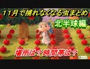 あつまれどうぶつの森　１１月までの虫まとめ！（北半球編）早めに捕っておきましょう！　【あつ森】