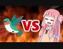 茜ちゃんVSプエルトリコヒメエメラルドハチドリ