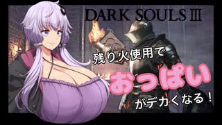 【ダクソ3】残り火使用するとおっぱいがでかくなるPart4