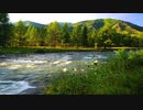 環境音楽BGM「川」