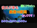 【10回分】タートルトーク名場面集03【タートルトーク】東京ディズニーシー