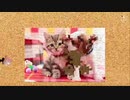 ポケモン　明日までにレート2000 2