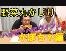 【野菜丸かじり】かぼちゃ食べてみた！【いまさらトライチャンネル】#113