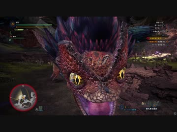 【MHW】会長がハロウィン装備で荒地のプケプケを攻略実況
