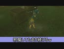 今回は依頼を受けて、ボコブリンにぐるぐる回ってもらった