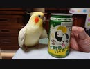 いいちこ・下町のハイボール「率直な感想」
