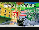 入れ替わり立ち替わるスーパーマリオ3Dコレクション　part5