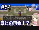 #54【DQ5】ドラゴンクエスト5で癒される!!母との再会！？【女性実況】