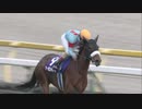 2020年 第162回 天皇賞(秋) アーモンドアイ