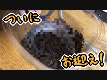 ついにあの子をお迎え！！！
