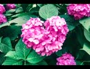 続・好きな音楽テーマ別うｐ・情愛編