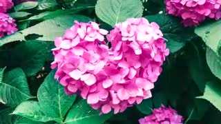 続・好きな音楽テーマ別うｐ・情愛編