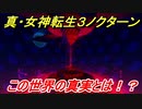 真・女神転生３リマスター　この世界の真実とは！？　【メガテン３】