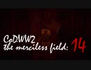 CoDWWⅡ the merciless field: 14