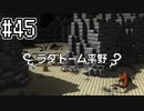 [DQB1]アレフガルドをゆっくり復活させる #45[ゆっくり実況]