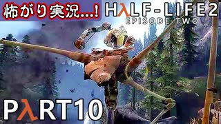 【怖がり実況...!】▼ビビりが運命に抗いましょい！▼Half-Life2:Episode2【Part10】