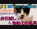【子猫】保護4日目夜は子猫お引越し＆初めての玩具の反応に感動