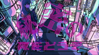 【研究者が】シニカルナイトプラン 歌ってみた【しぇるく】