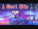 飛んだり崖登ったり自由なハイキング『A Short Hike』＃7(終)
