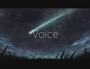 Voice