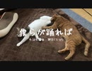 僕らが踊れば｜miki