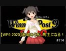 【WP9 2020】赤城みりあ、馬主になる！#114 「遅咲きのステイヤー」