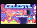 なぜ山に登るのか #10【Celeste】