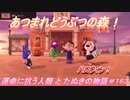 【あつ森】前人未島へようこそ！#163【あつまれどうぶつの森】