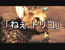 ねえ、トリコ