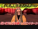 真・女神転生３リマスター　だいそうじょう攻略！イベントシーン　＃１３　【メガテン３】
